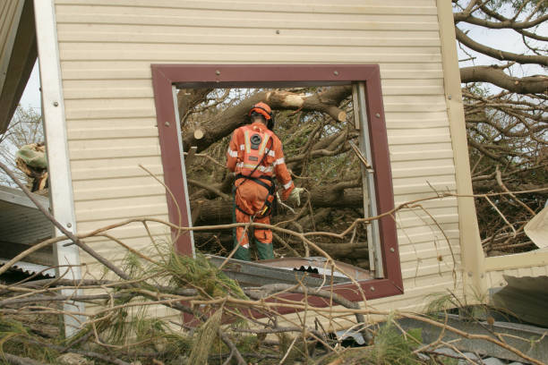 Tree and Shrub Care in Fayetteville, GA